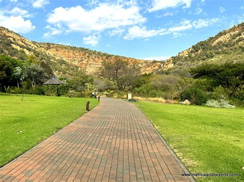 Walter Sisulu National Botanical Garden: A Breathtaking Oasis for Nature Lovers and Urban Escapists!